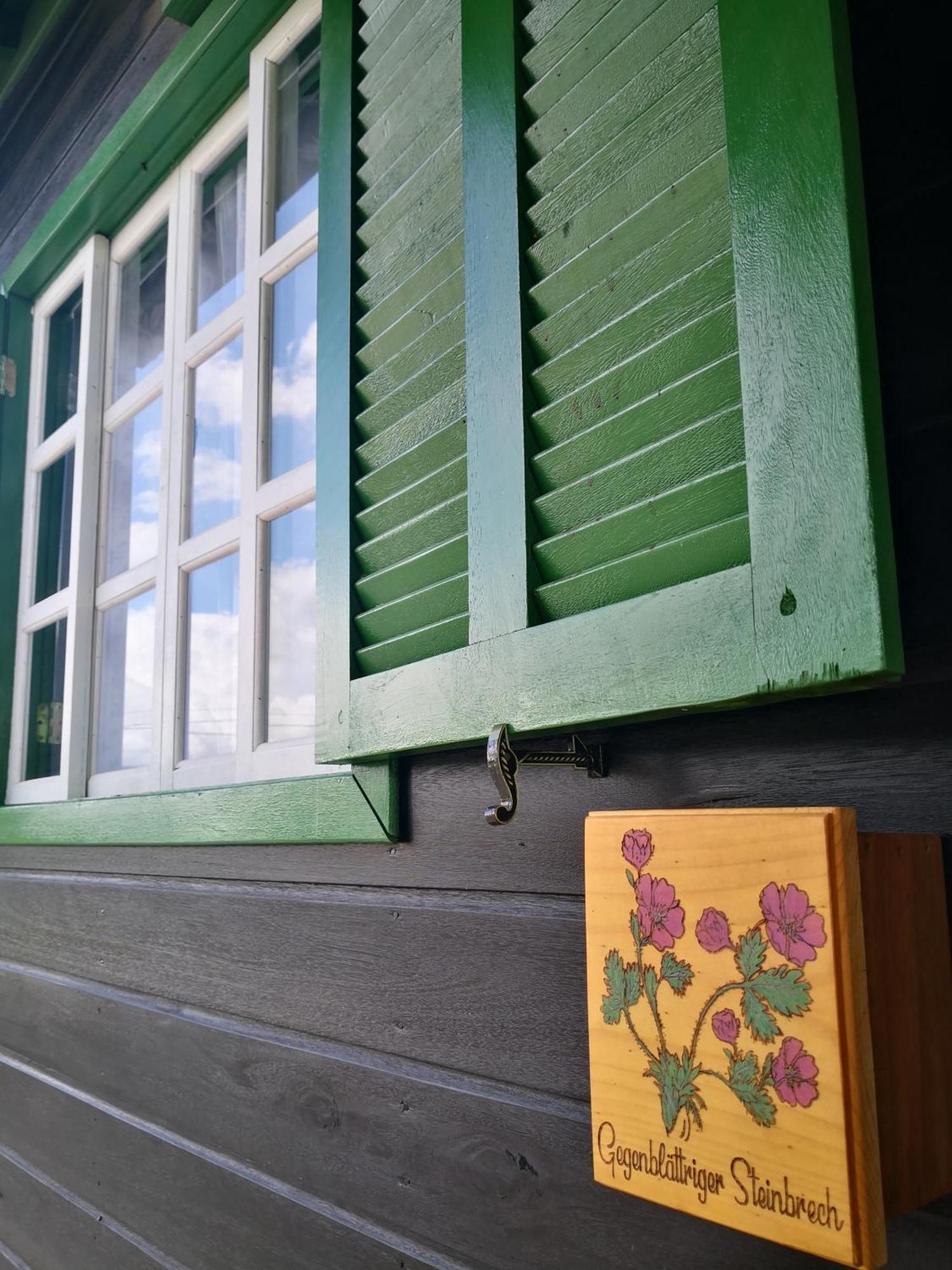 Refugio Alpenblumen Apartment อูรูบิซิ ห้อง รูปภาพ