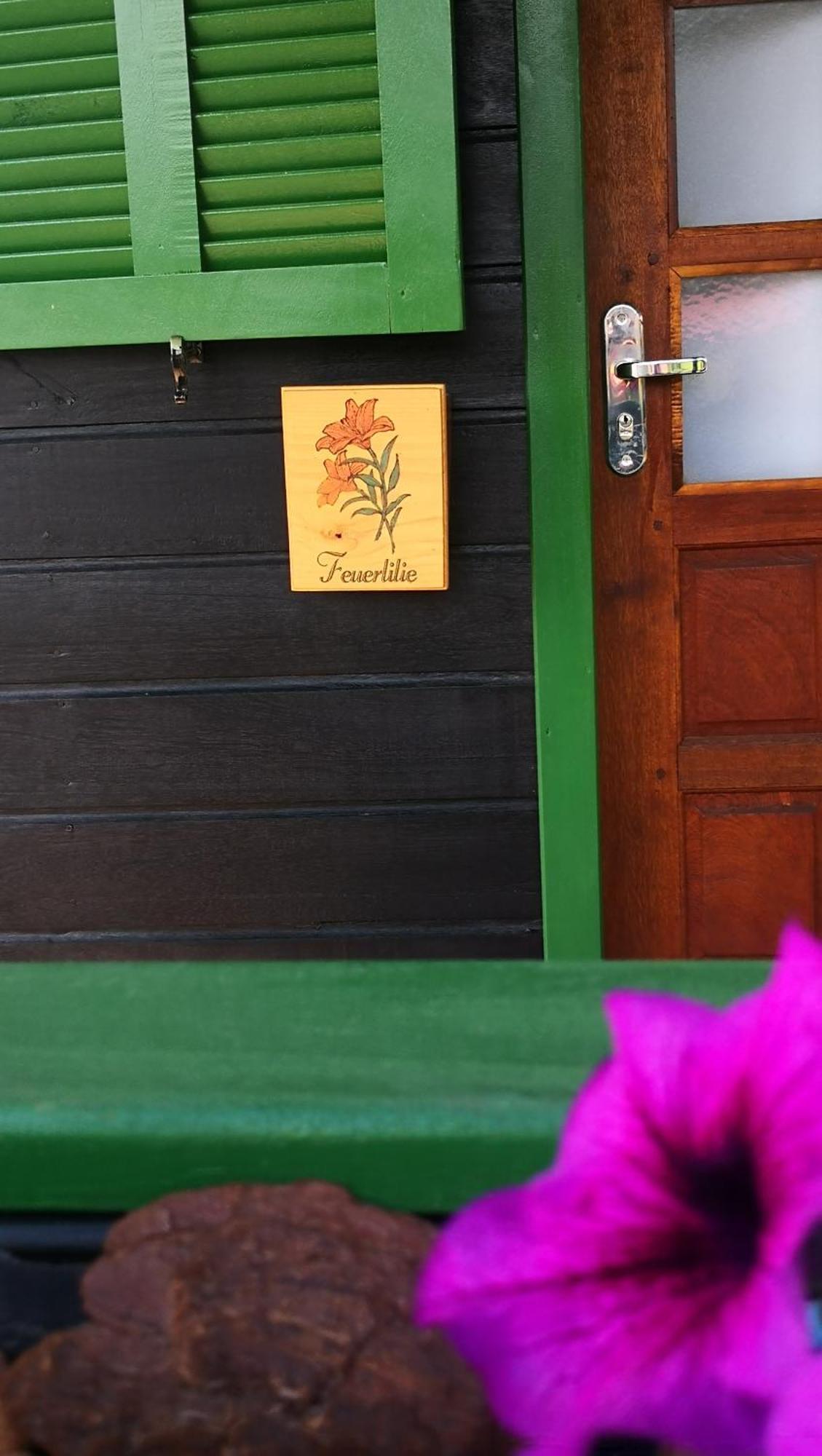 Refugio Alpenblumen Apartment อูรูบิซิ ห้อง รูปภาพ